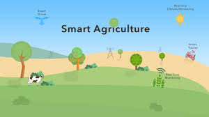 Agriculture & Rural Development